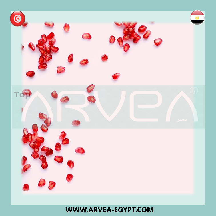 arvea_egypt work from home